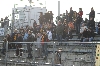 bild005.jpg