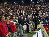bild015.jpg