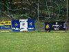 bild005.jpg