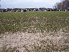 bild018.jpg