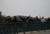 bild003.jpg