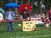 bild008.jpg