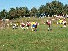 bild016.jpg
