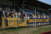 bild007.jpg