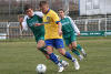 bild019.jpg