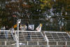 bild012.jpg