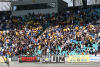bild004.jpg